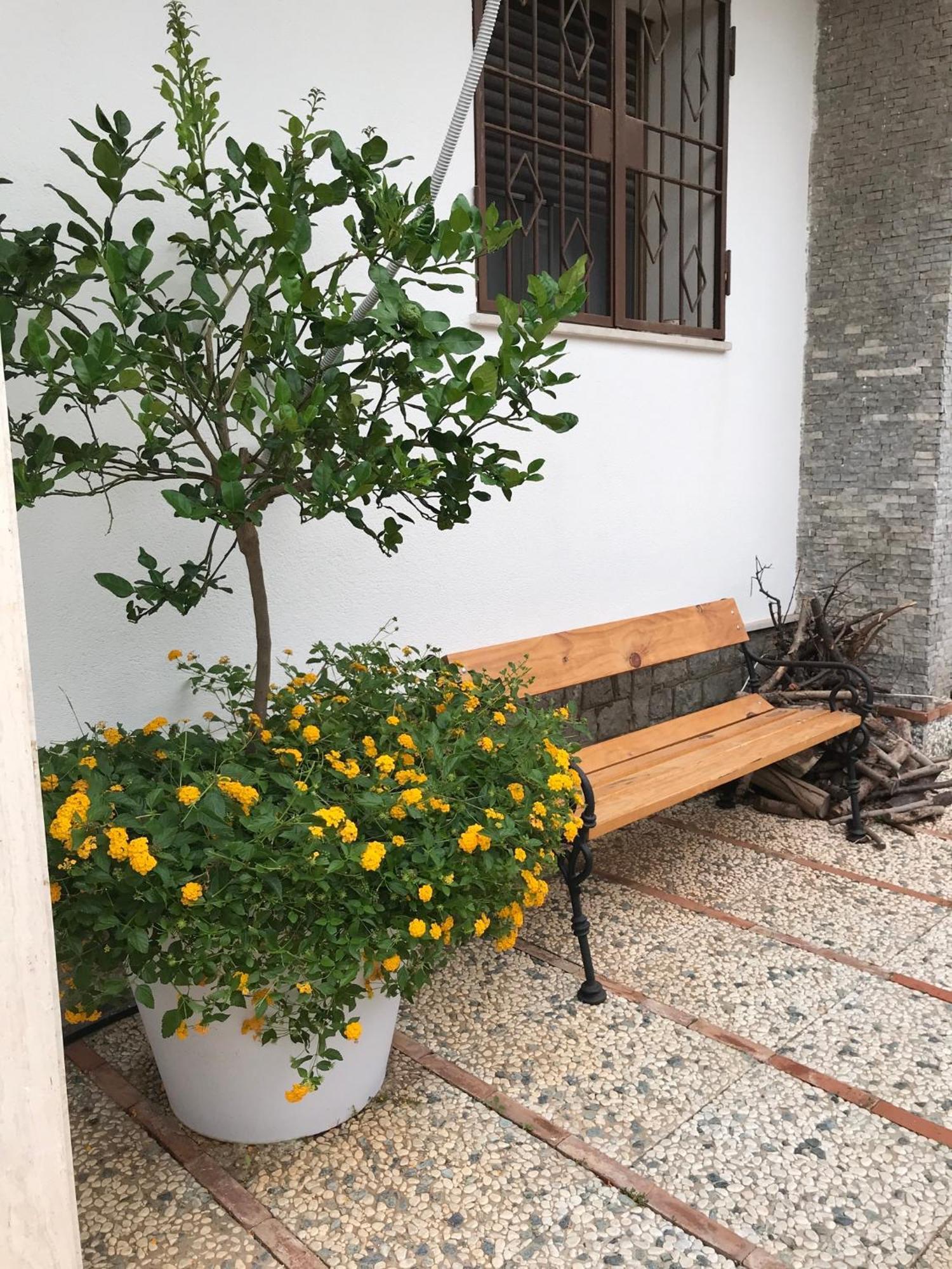 Holiday & House - Imparato Carini Costa Verde Extérieur photo